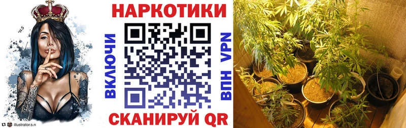 Купить Alpha-PVP  МЕФ  Гашиш  МДМА  Марихуана  Сертолово
