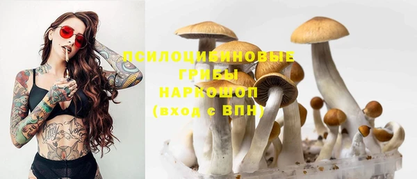 спайс Аркадак