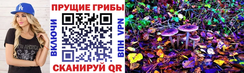 Купить закладки  Сертолово  Псилоцибиновые грибы мухоморы 